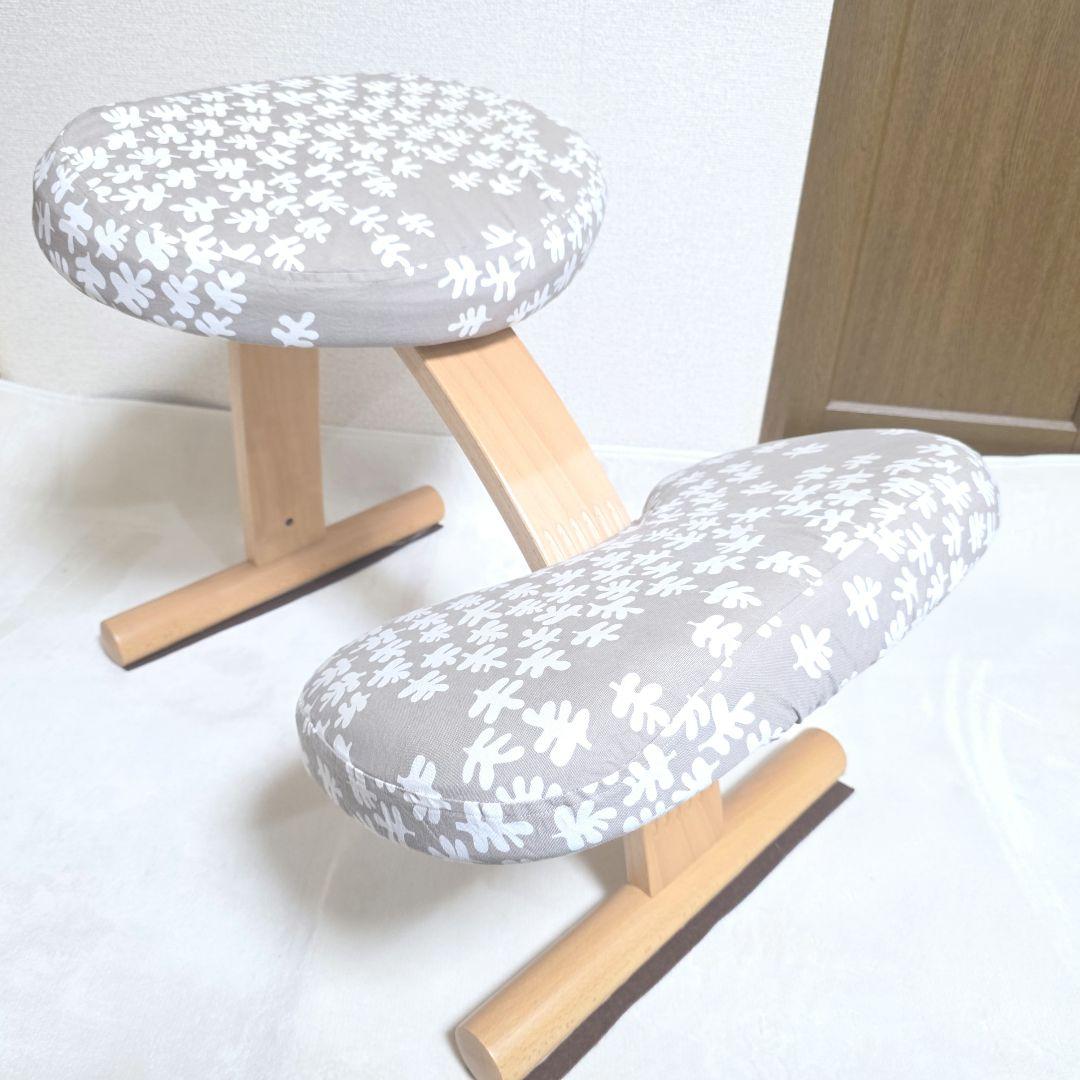 446】Rybo リボ社 Balans Easy バランスイージー カバー付