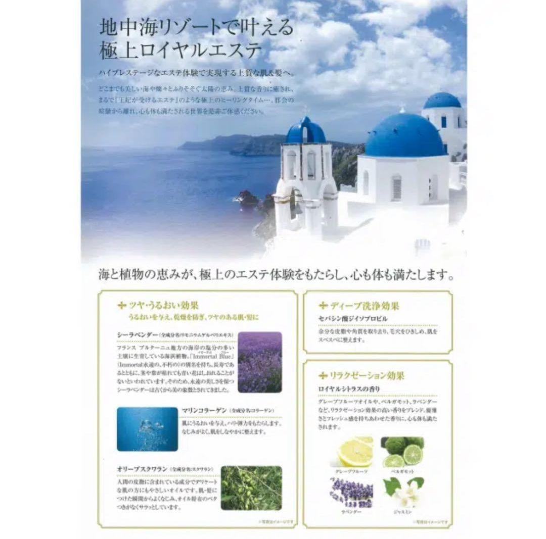 POLA エステロワイエ シャンプー＆コンディショナー 10Lセット