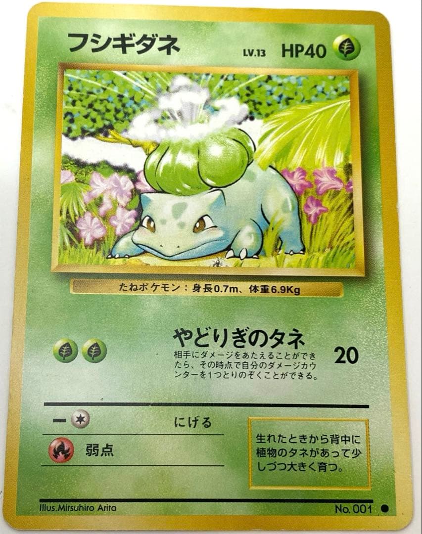 フシギダネ ● ヒトカゲ2枚セット