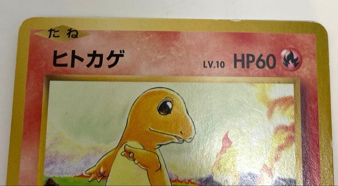 フシギダネ ● ヒトカゲ2枚セット