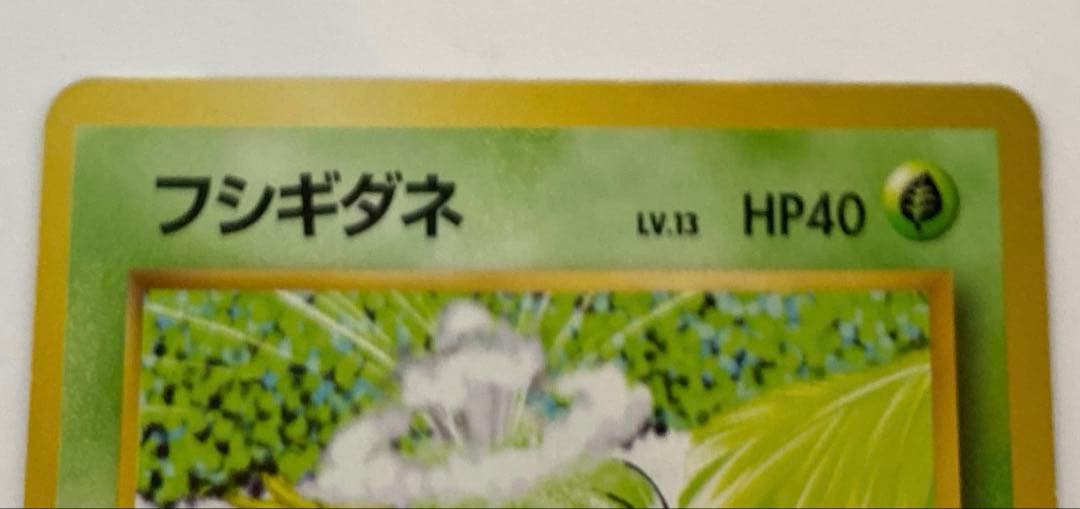 フシギダネ ● ヒトカゲ2枚セット