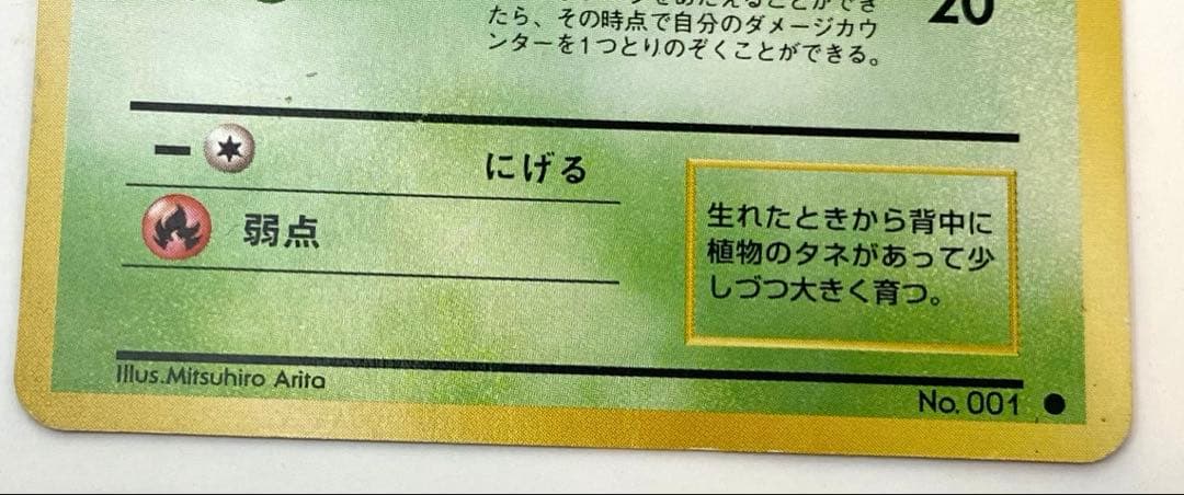 フシギダネ ● ヒトカゲ2枚セット