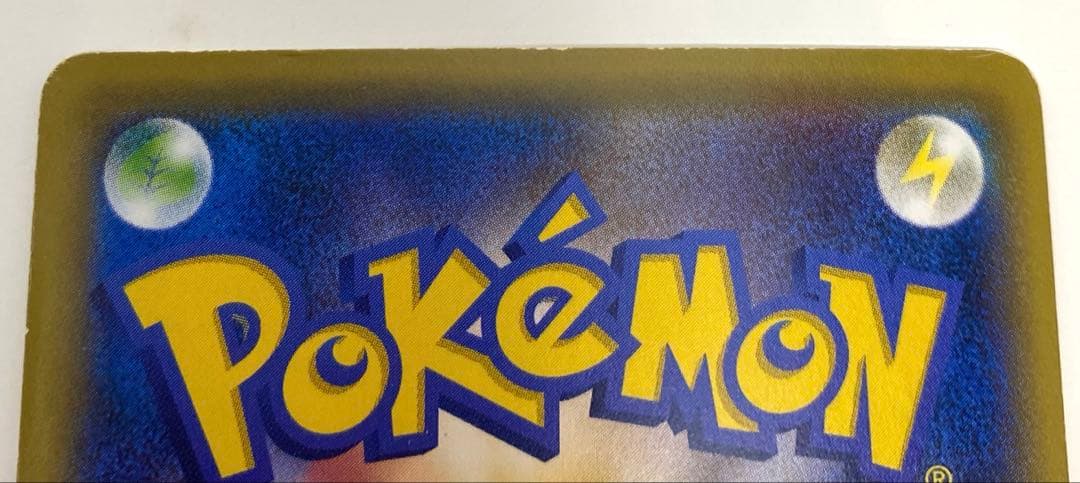 フシギダネ ● ヒトカゲ2枚セット