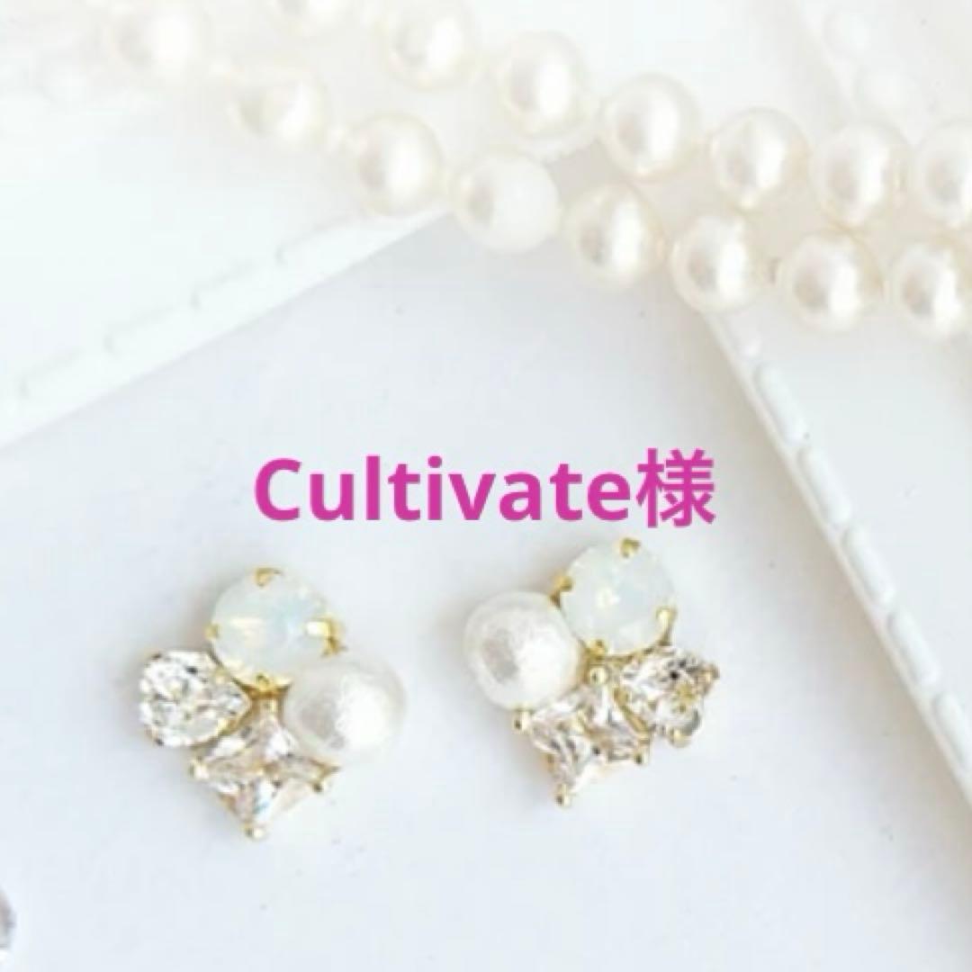 Cultivate 様　③④⑤⑥⑦各5本