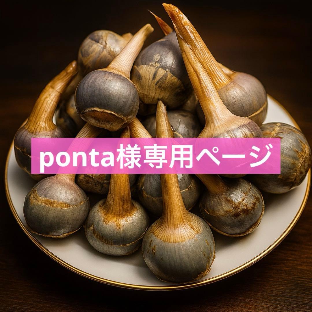 くわい　L65個　15000円