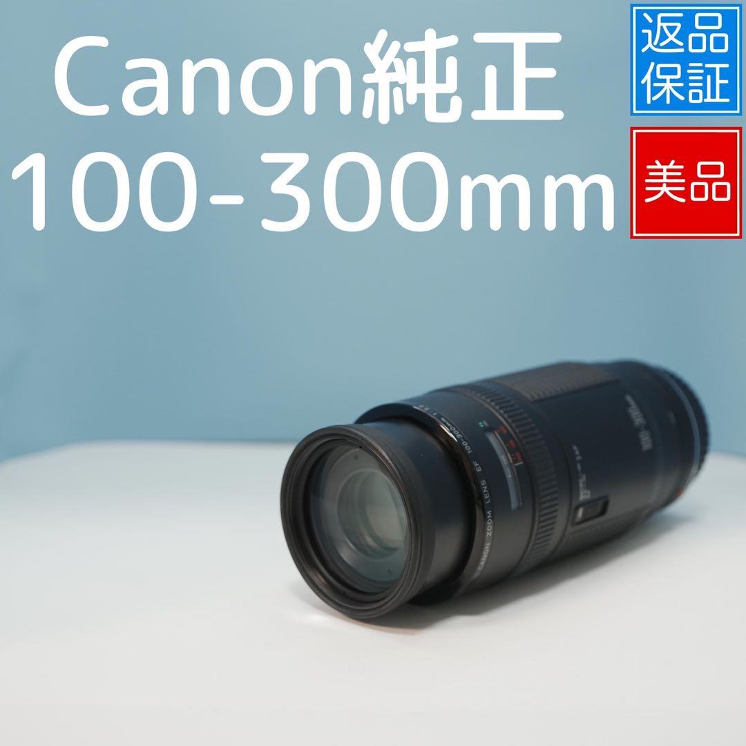 Canon純正 100-300mm 望遠レンズ 美品 a4364