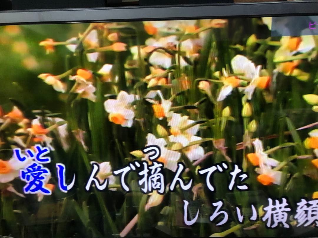 Pioneer パイオニア　CLD-K80 LDプレーヤー　リモコン付き