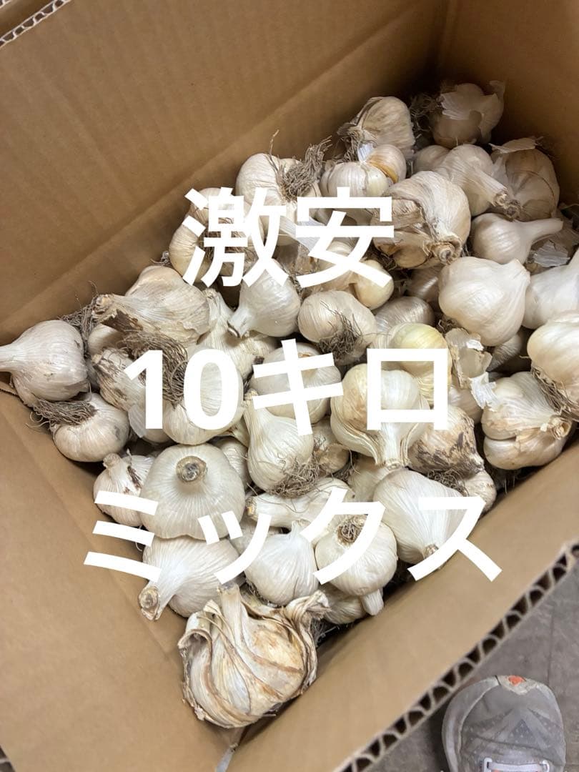 新物　青森県にんにく10Kg SML