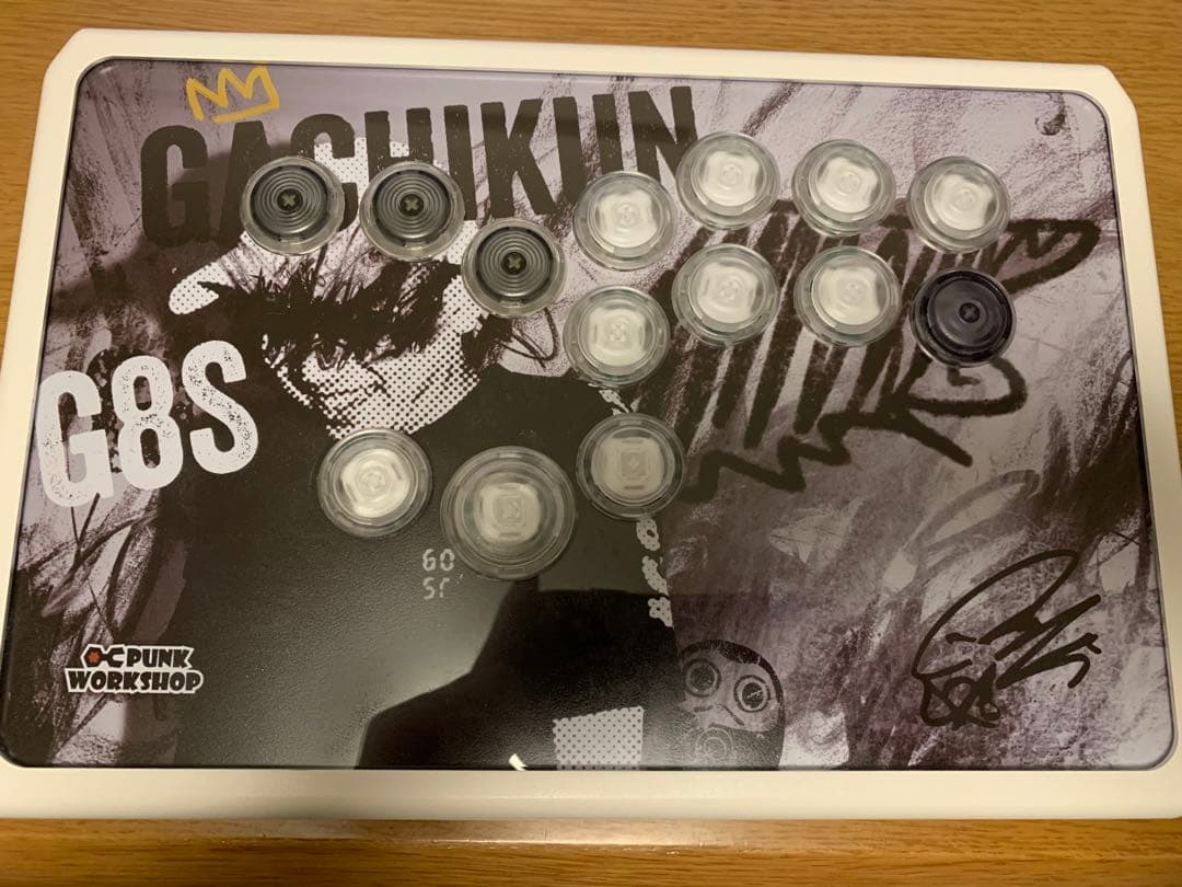 パンクワークショップ R14 Gachikun Model