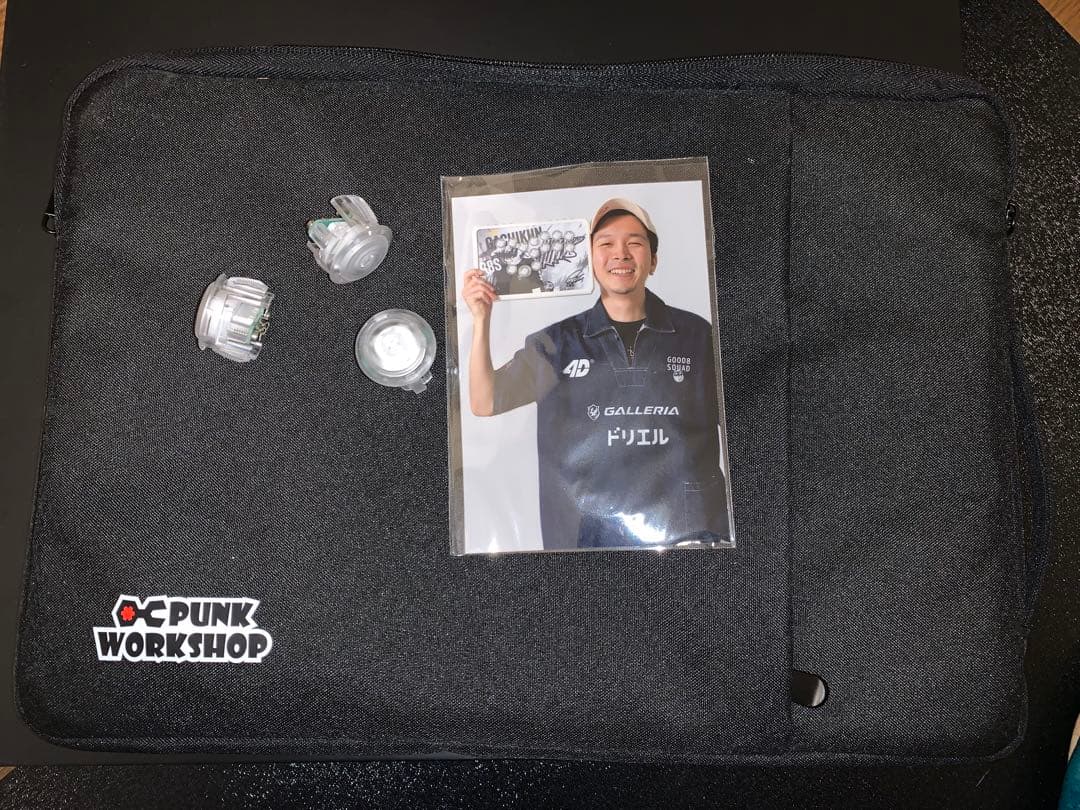 パンクワークショップ R14 Gachikun Model