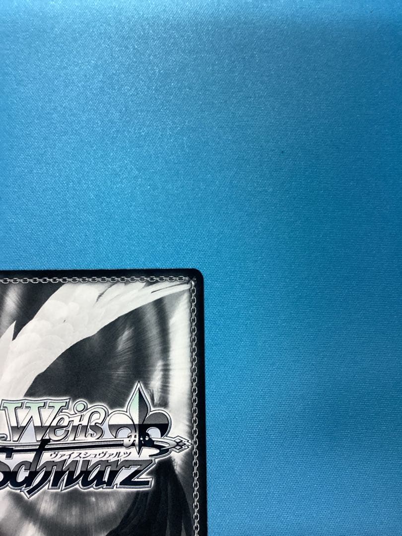 WS サポーター ベルノライト SSP サイン