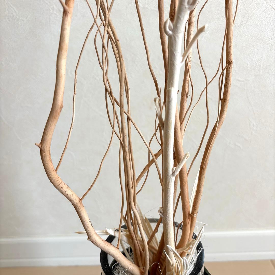 MODERN PEOPLES HALFMOON フラワーベース S