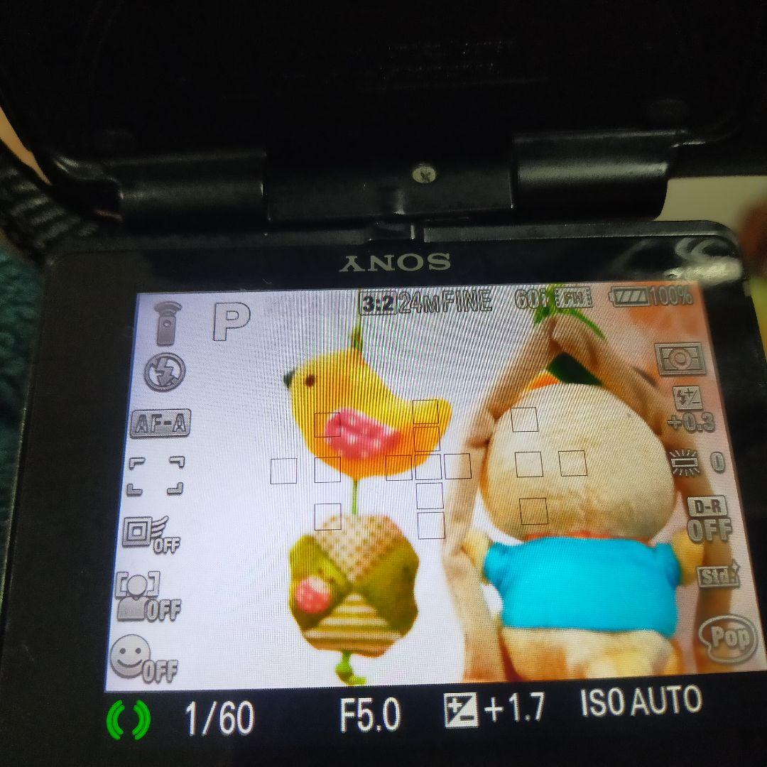 SONY α65 デジタル一眼レフ+レンズ 3.5-5.6/18-55 SAM