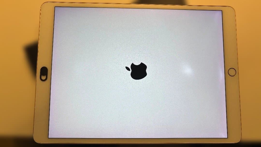 iPad Pro 256GB Rose gold Cellular 美品付属多