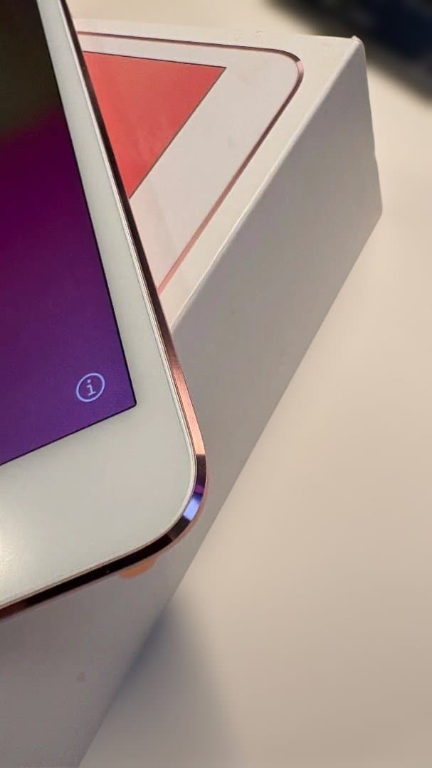 iPad Pro 256GB Rose gold Cellular 美品付属多