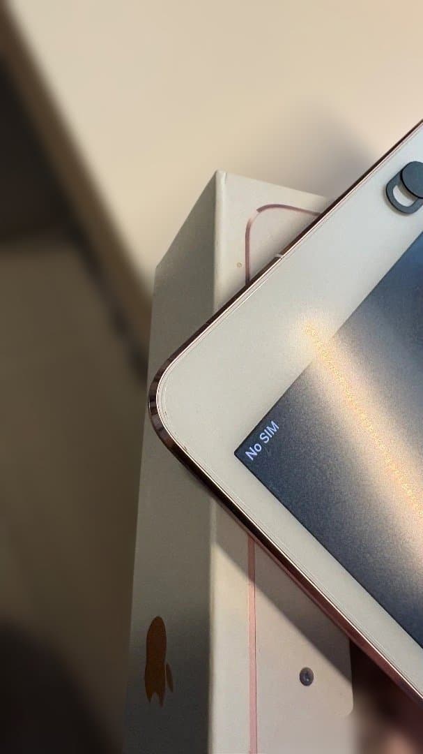 iPad Pro 256GB Rose gold Cellular 美品付属多