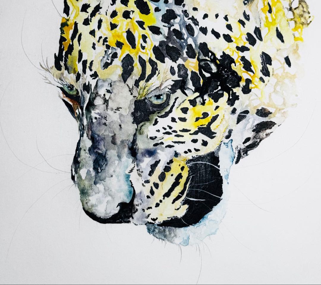 ヒョウ 豹 原画 額装済み