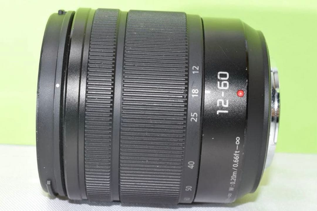 Panasonic 12-60 ☆送料無料☆