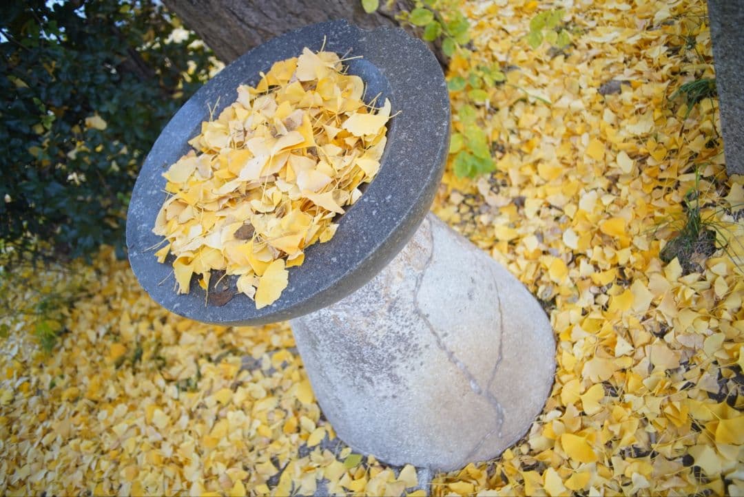 【動作確認済】SMC PENTAX-M 28mm f2.8 純正付属品付き