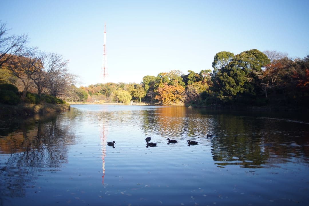 【動作確認済】SMC PENTAX-M 28mm f2.8 純正付属品付き