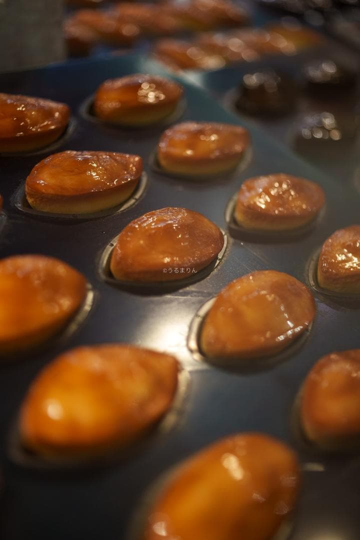 ひろ様　ZEISS Makro-Planar 50mm F2 ZK