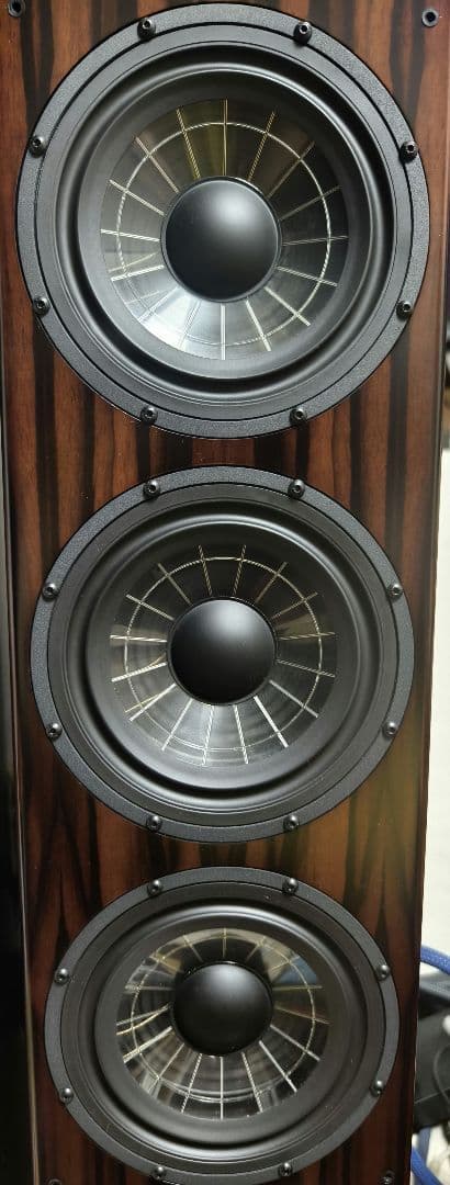 スピーカー・ウーファー Vienna acoustics BEETHOVEN CONCERT GRAND