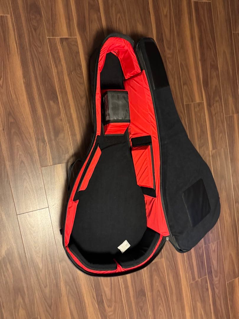 THE NORTH FACE BC Guitar Case送料込み 限定品