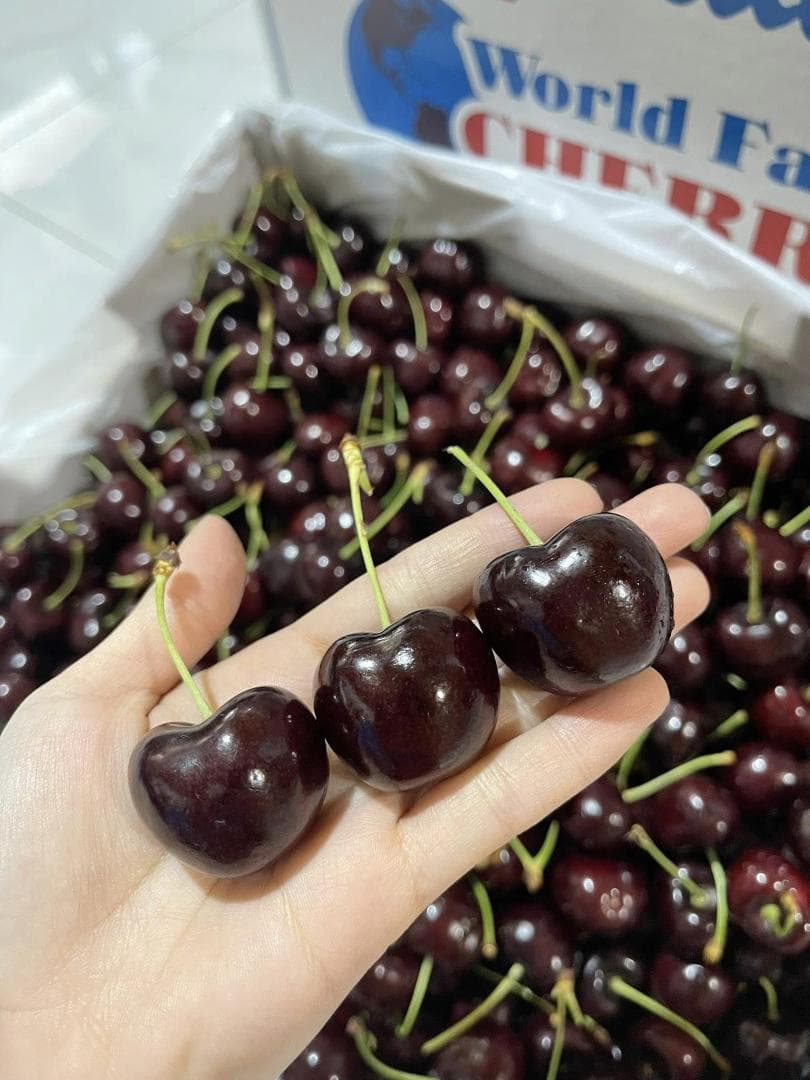 チリ産 空輸　ダークチェリー 約2.5kg 　大粒2Jサイズ