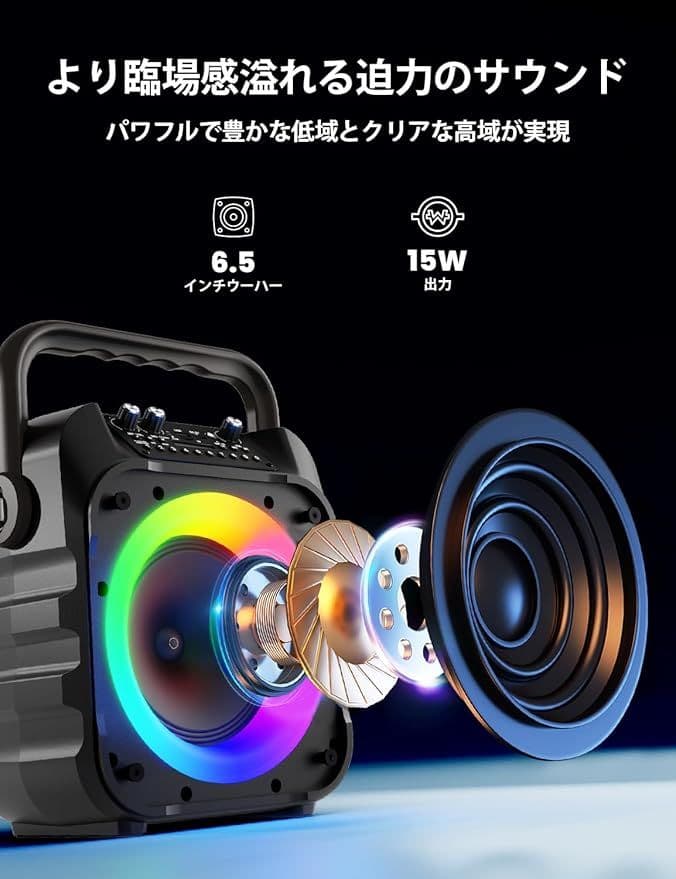 カラオケスピーカーセット マイク2本付き 家庭用・パーティー用