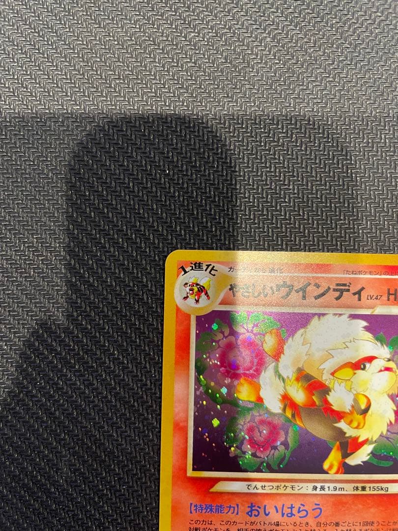 ポケカ　旧裏　やさしいウインディ ★ 拡張パック第4弾 闇、そして光へ…