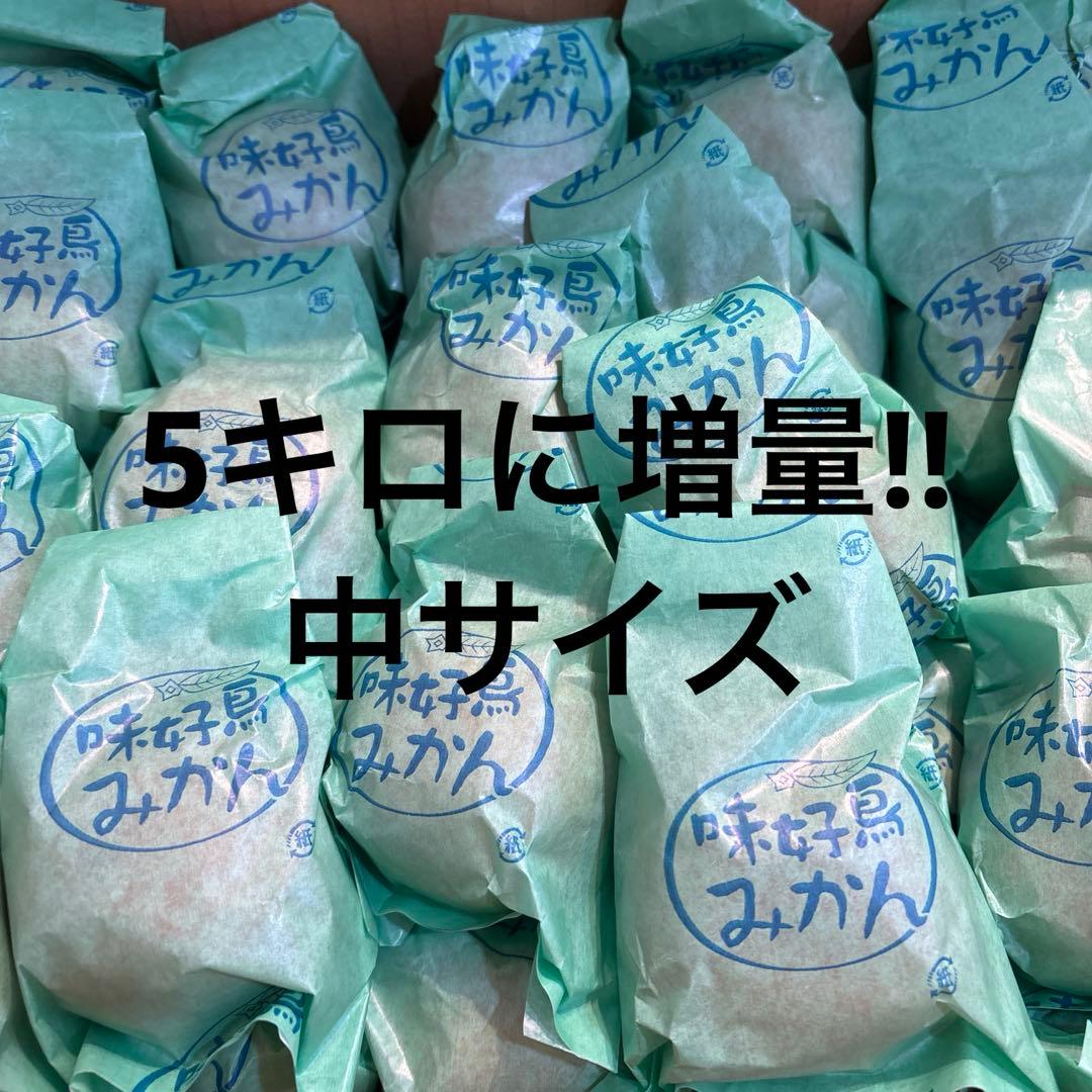 味好鳥' 袋掛けみかん 中サイズ JAながさき県央