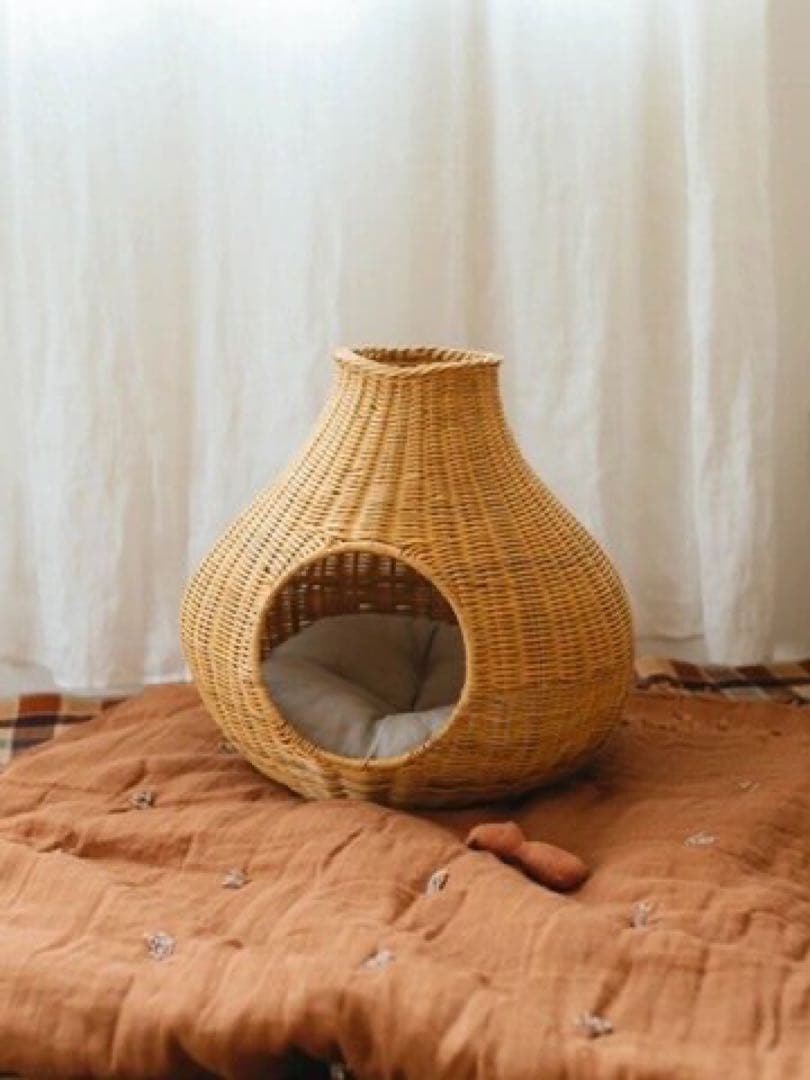 オルネコ　ガーリックネコハウス