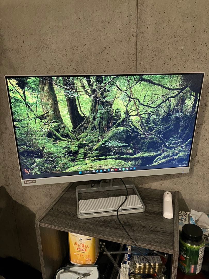 【美品/新品購入後５か月位使用】【Lenovo】 L24i-40 モニター