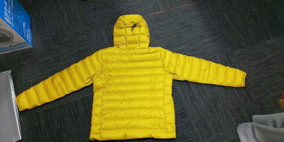 パタゴニア ダウン フーディ プルオーバー ハーフジップ メンズM