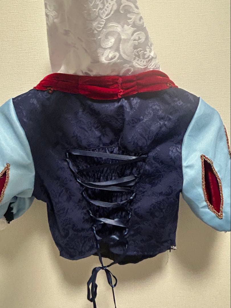 アニメ版　白雪姫　ドレス　大人　ディズニー　プリンセス　仮装