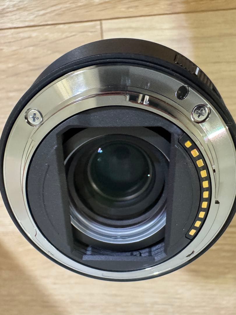 SONY FE 20-70mm F4 G レンズ sel2070g 試し撮りのみ