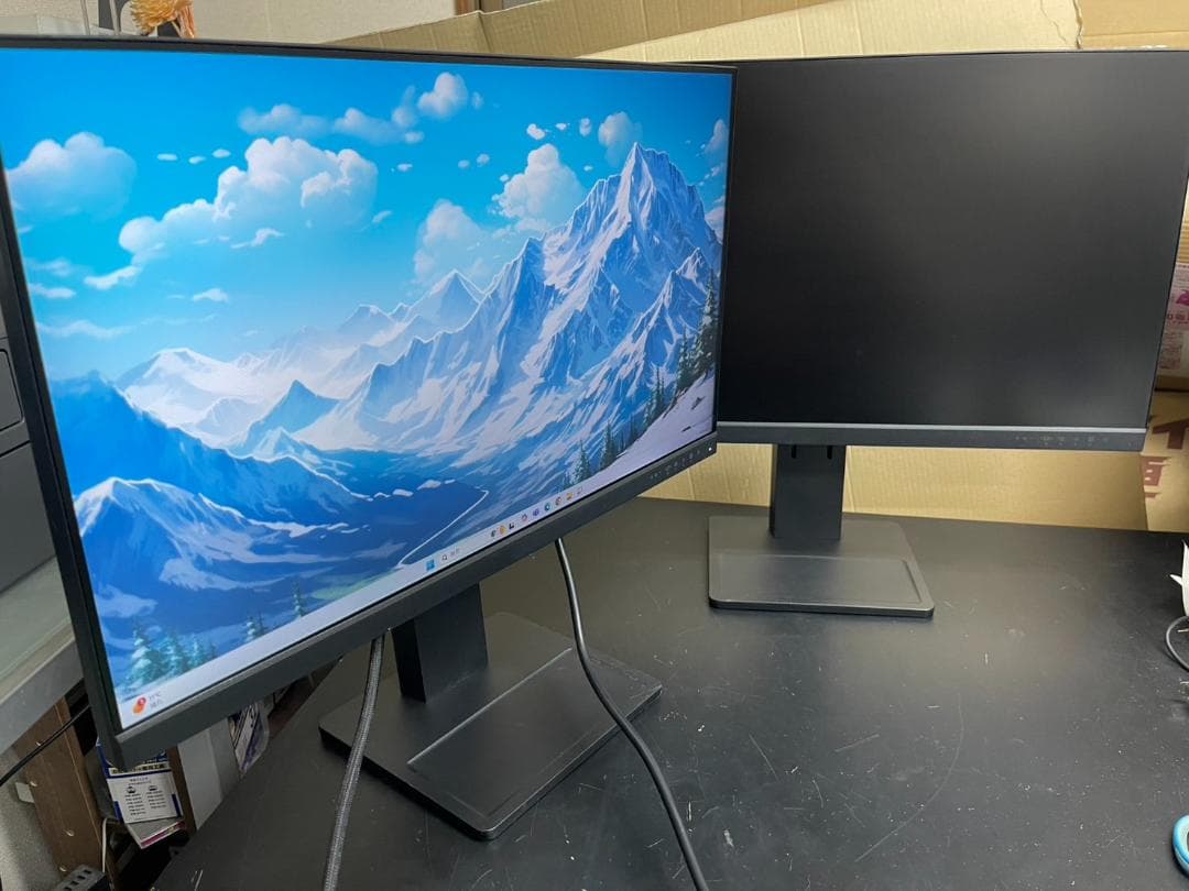 Lenovo ThinkVison 23.8 モニター E24-28 2台セット