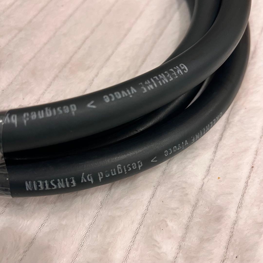 Greenline Vivace ペア　スピーカーケーブル