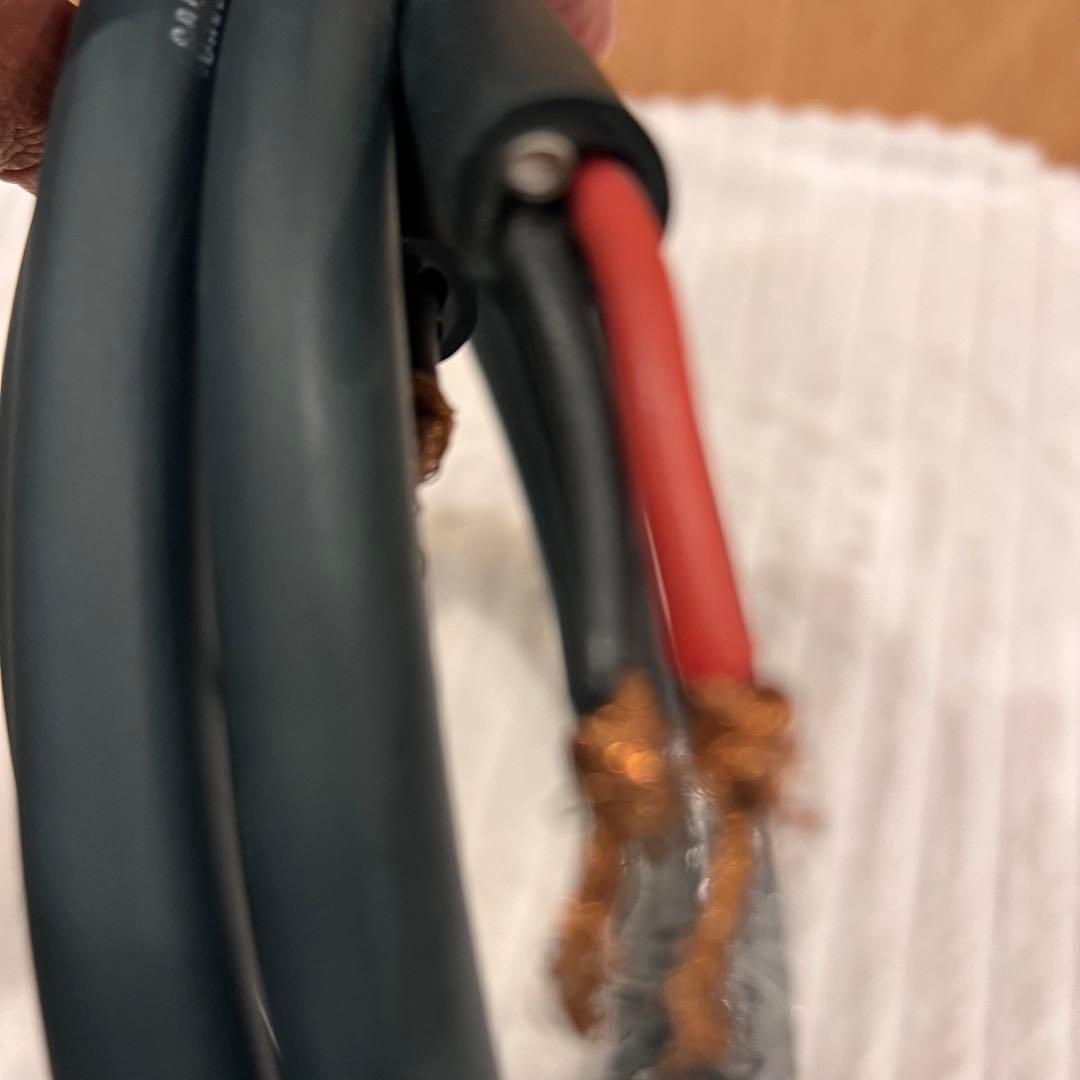 Greenline Vivace ペア　スピーカーケーブル