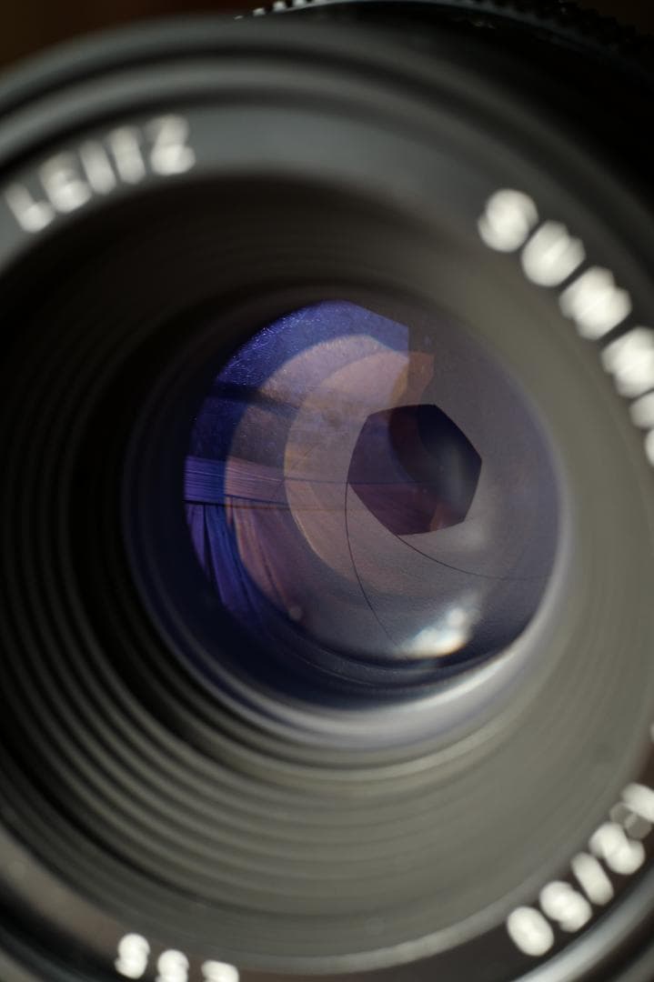 【2/5値下げ】美品 LEICA ライカ SUMMICRON-R 50mm