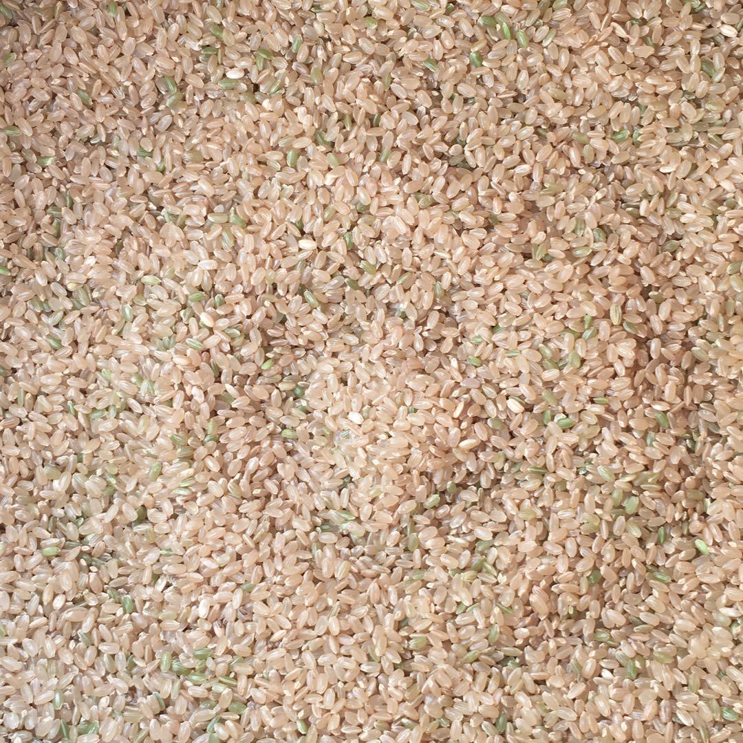 感動を呼ぶお米！令和7年産 新米にこまる【玄米20kg分を精米】白米約18kg