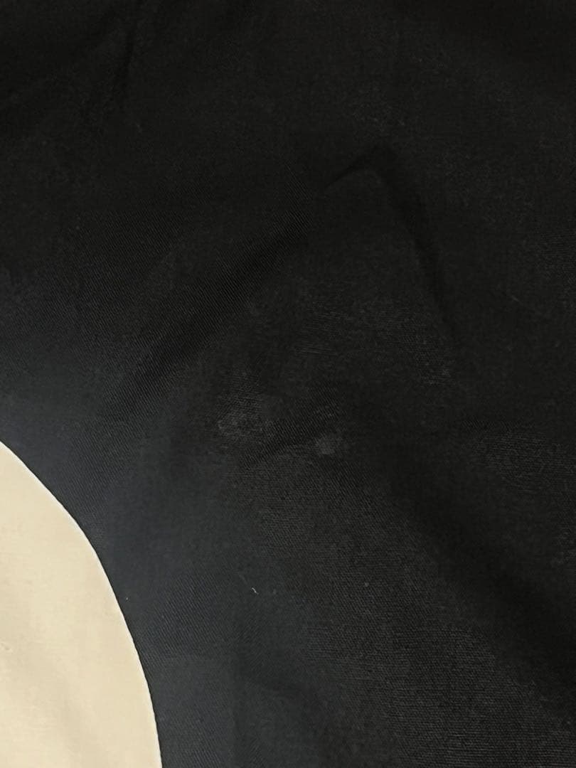 ⭐︎レア⭐︎清木場俊介唄い屋⭐︎のれん