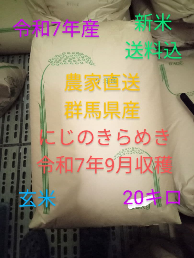 R7年産 新米 群馬県産 にじのきらめき 20キロ 玄米 送料込 ①