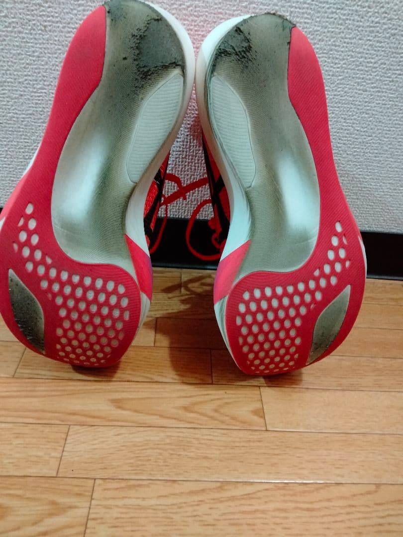 アシックス メタスピードスカイTOKYO 25.5cm