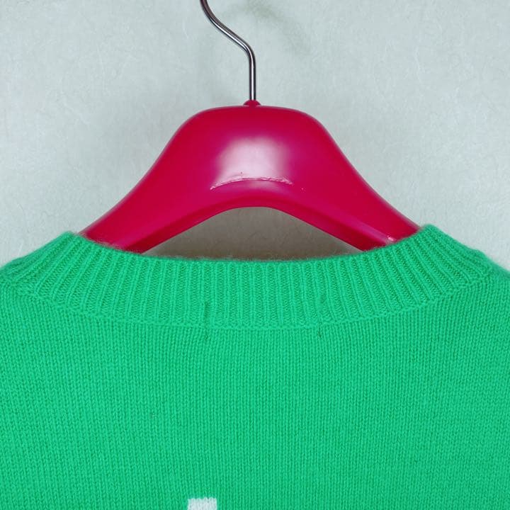 ２２FW新作【新品未使用 アルチビオ】カシミヤクルーセーター38号