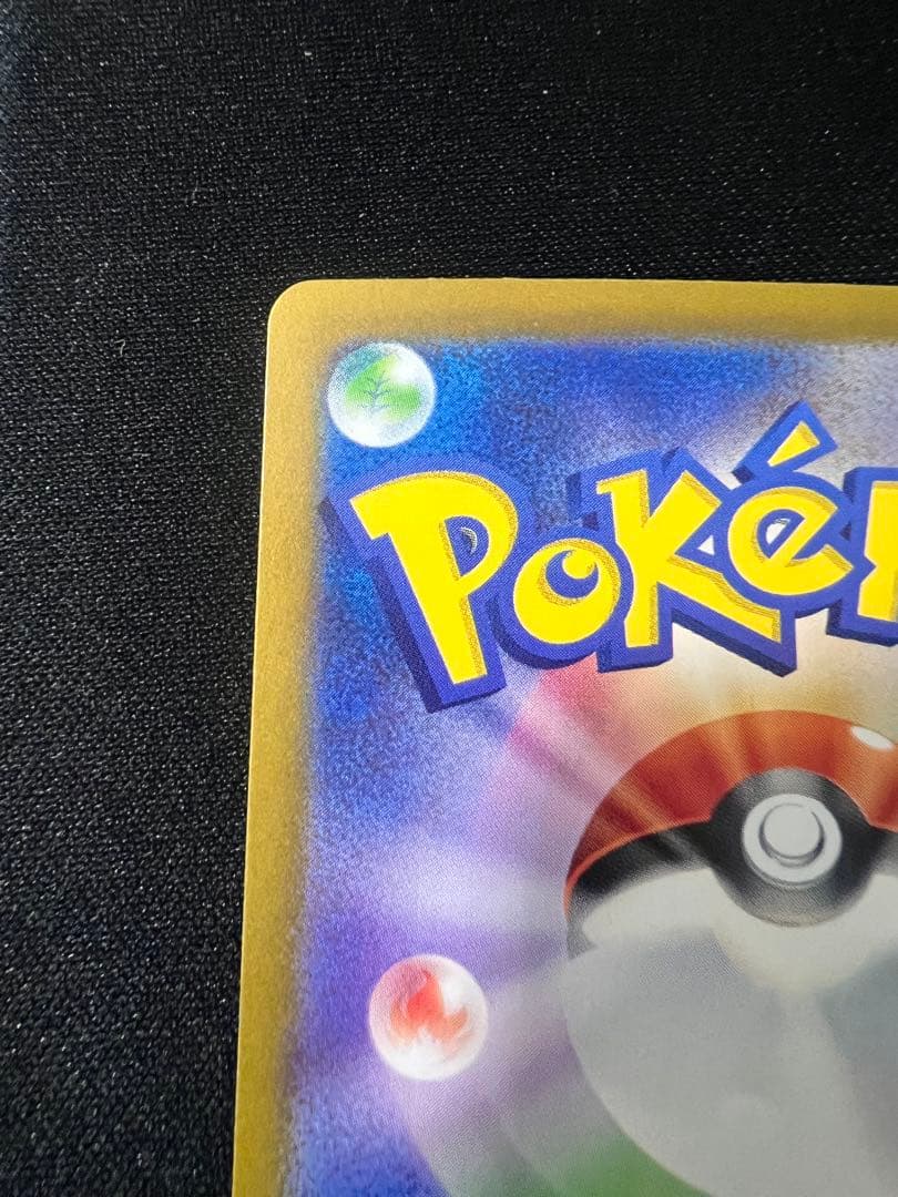 ブラッキー マスターボール