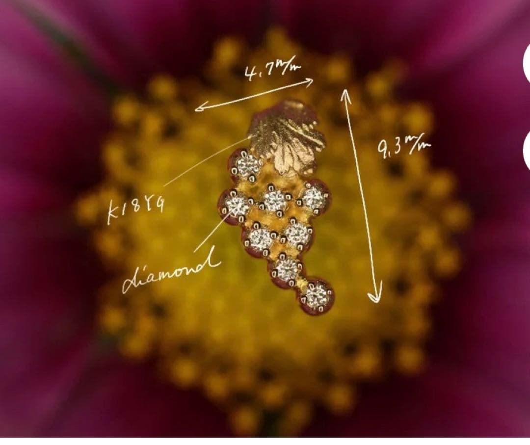 クアラントット Buon vino 片耳ピアス（左耳用）