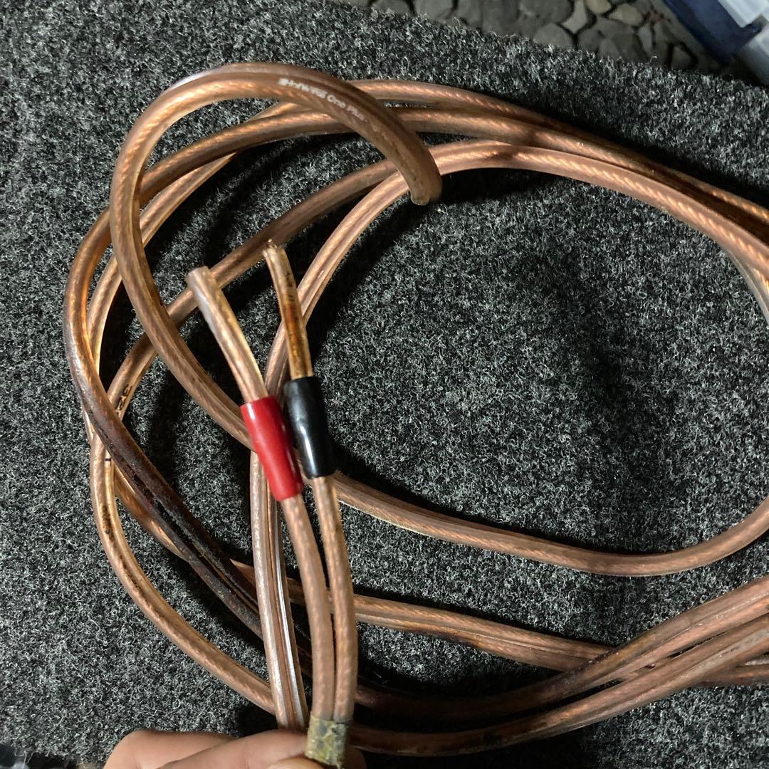 【1000W】R12s デュアルコイル　ads製　サブウーファー　ウーハー　箱