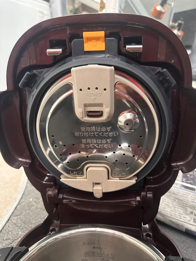 象印 圧力IHなべ ボルドー EL-MB30-VD ZOJIRUSHI