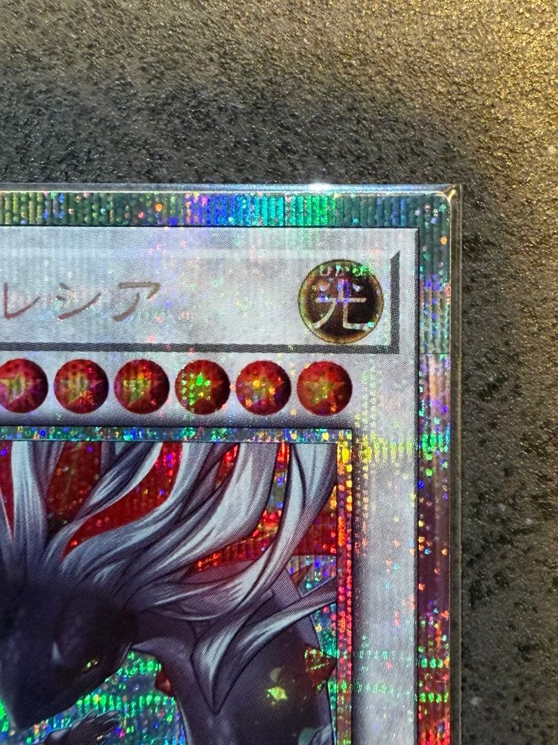 【遊戯王】日版 黒き竜のエクレシア プリズマ プリシク